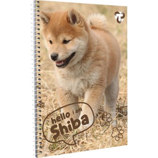 Spirálfüzet A/5 70 lapos, sima T-Creativ vegyes minta