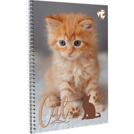 Spirálfüzet A/5 70 lapos, vonalas T-Creativ vegyes minta