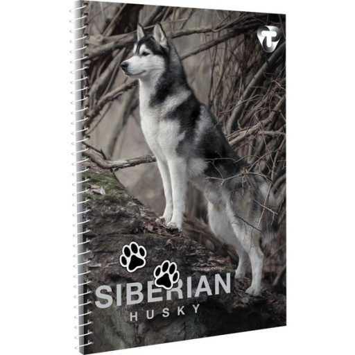 Spirálfüzet A/5 70 lapos, vonalas T-Creativ vegyes minta