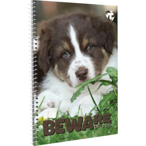 Spirálfüzet A/5 70 lapos, négyzetrácsos T-Creativ vegyes minta