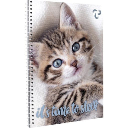 Spirálfüzet A/5 70 lapos, négyzetrácsos T-Creativ vegyes minta