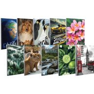 Spirálfüzet A/4 70 lapos, sima T-Creativ vegyes minta