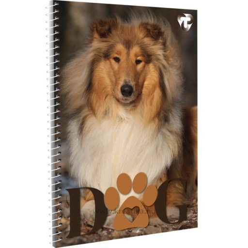 Spirálfüzet A/4 70 lapos, sima T-Creativ vegyes minta