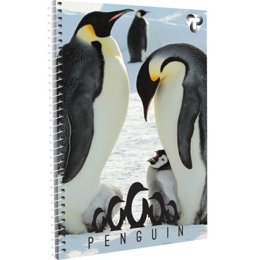 Spirálfüzet A/4 70 lapos, sima T-Creativ vegyes minta