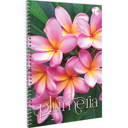 Spirálfüzet A/4 70 lapos, sima T-Creativ vegyes minta