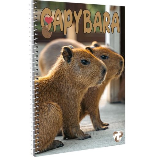 Spirálfüzet A/4 70 lapos, sima T-Creativ vegyes minta