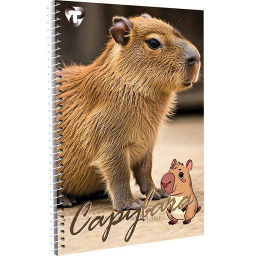 Spirálfüzet A/4 70 lapos, vonalas T-Creativ vegyes minta