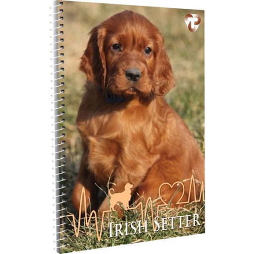 Spirálfüzet A/4 70 lapos, négyzetrácsos T-Creativ vegyes minta