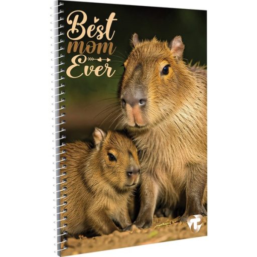 Spirálfüzet A/4 70 lapos, négyzetrácsos T-Creativ vegyes minta