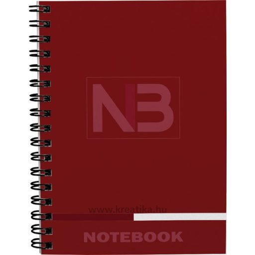Spirálfüzet A/4 110 lapos, vonalas-négyzetrácsos T-Creativ "Notebook 3" vegyes színek