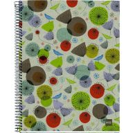   Spirálfüzet A/4 4x30 lapos, vonalas, újrahasznosított MQ "ECO" Birds