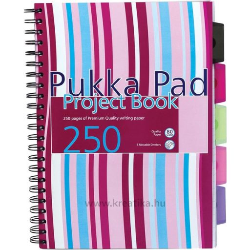 Spirálfüzet A/4 125 lapos, vonalas Pukka Pad "Project Book" vegyes színek