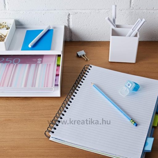 Spirálfüzet A/4 125 lapos, vonalas Pukka Pad "Project Book" vegyes színek