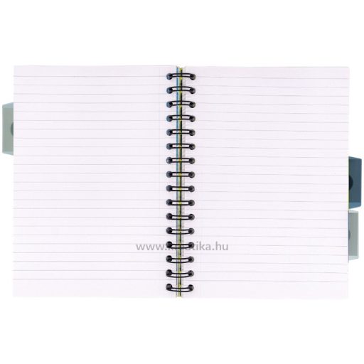 Spirálfüzet A/5 100 lapos vonalas Pukka Pad "Project Book" Haze