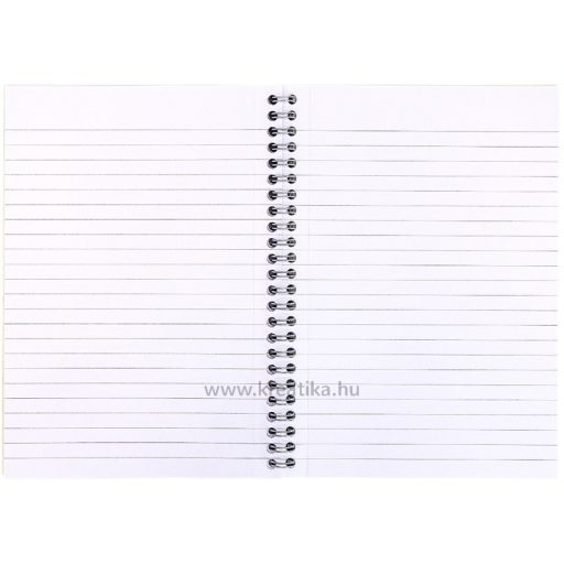 Spirálfüzet A/5 55 lapos, vonalas, újrahasznosított Pukka Pad "Recycled Jotta" zöld