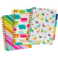   Spirálfüzet B/5 100 lapos, vonalas Pukka Pad "Project Book" Colour Wash