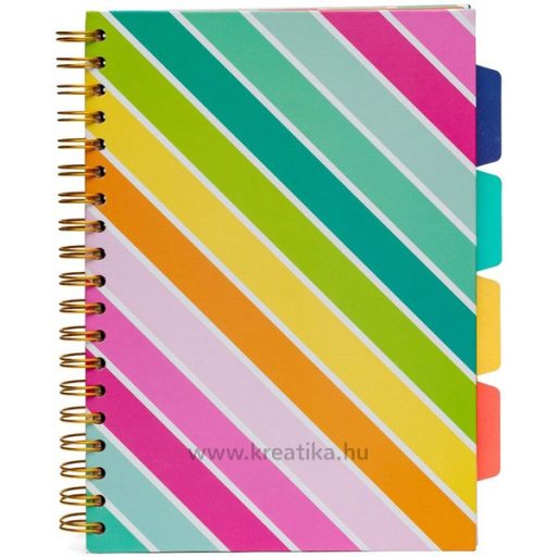 Spirálfüzet B/5 100 lapos, vonalas Pukka Pad "Project Book" Colour Wash