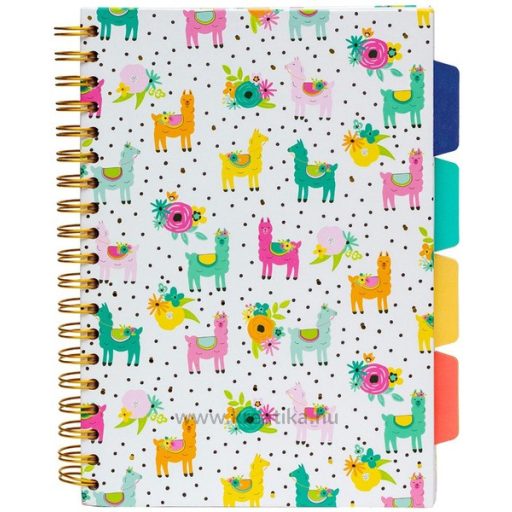 Spirálfüzet B/5 100 lapos, vonalas Pukka Pad "Project Book" Colour Wash