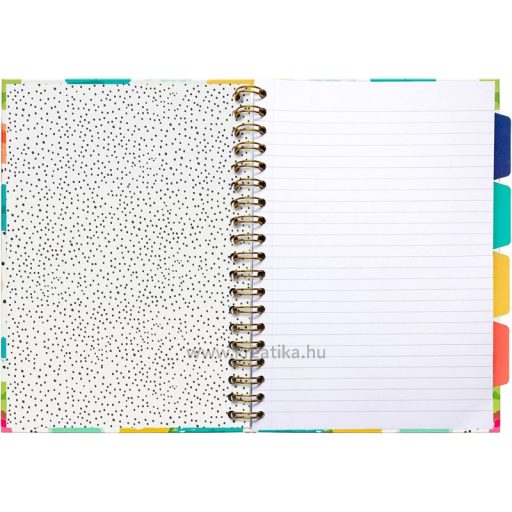 Spirálfüzet B/5 100 lapos, vonalas Pukka Pad "Project Book" Colour Wash