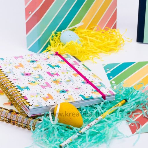 Spirálfüzet B/5 100 lapos, vonalas Pukka Pad "Project Book" Colour Wash