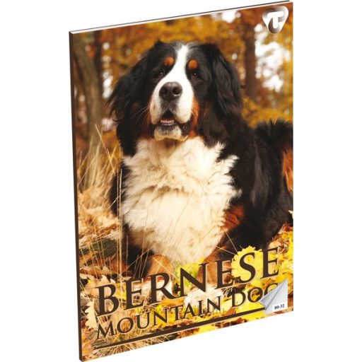 Füzet A/4 32 lapos, sima 80-32 T-Creativ