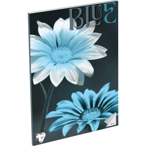 Füzet A/4 32 lapos, sima 80-32 T-Creativ