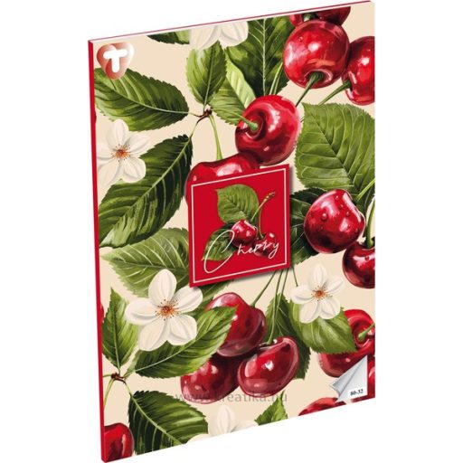 Füzet A/4 32 lapos, sima 80-32 T-Creativ