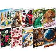 Füzet A/4 32 lapos, vonalas 81-32 T-Creativ