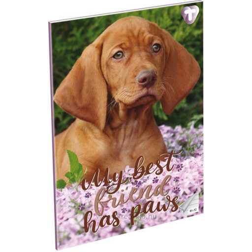 Füzet A/4 32 lapos, vonalas 81-32 T-Creativ