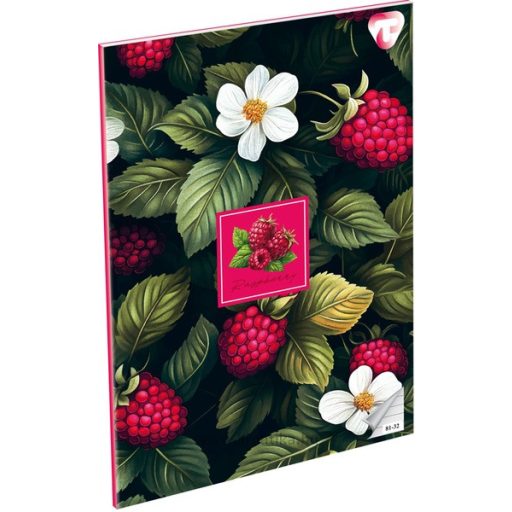 Füzet A/4 32 lapos, vonalas 81-32 T-Creativ