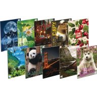 Füzet A/4 32 lapos, négyzetrácsos 87-32 T-Creativ