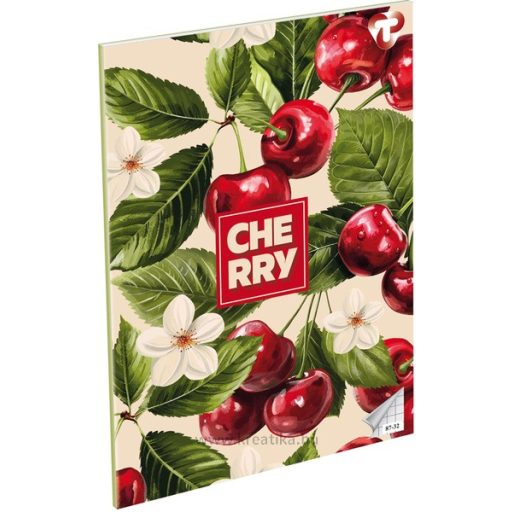 Füzet A/4 32 lapos, négyzetrácsos 87-32 T-Creativ