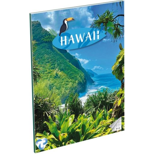 Füzet A/4 32 lapos, négyzetrácsos 87-32 T-Creativ