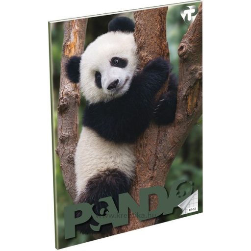 Füzet A/4 32 lapos, négyzetrácsos 87-32 T-Creativ