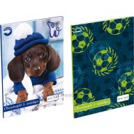   Olvasónapló A/5 32 lapos, 3. osztályos vonalas-sima 12-32 T-Creativ