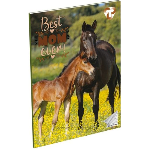 Leckefüzet A/5 36 lapos T-Creativ vegyes minta