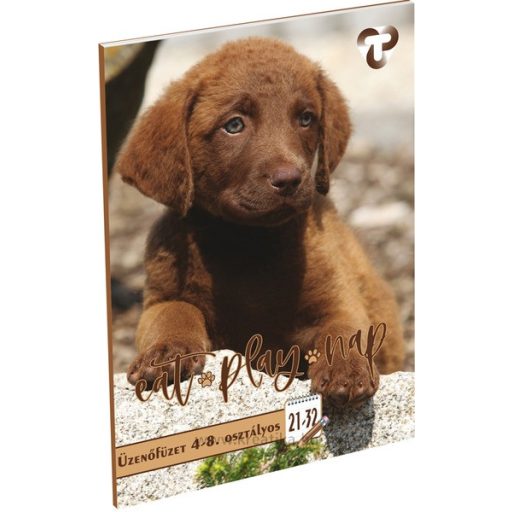 Üzenőfüzet A/5 32 lapos, 4-8. osztályos vonalas 21-32 T-Creativ