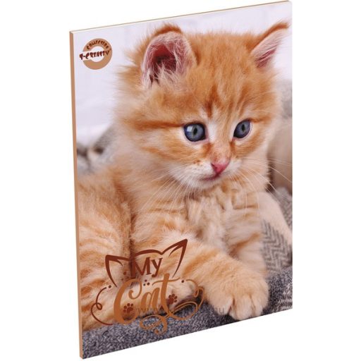 Füzet A/5 60 lapos, vonalas 21-60 T-Creativ