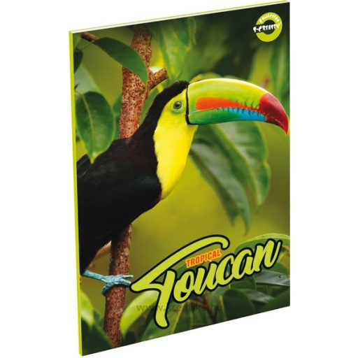 Füzet A/5 60 lapos, vonalas 21-60 T-Creativ