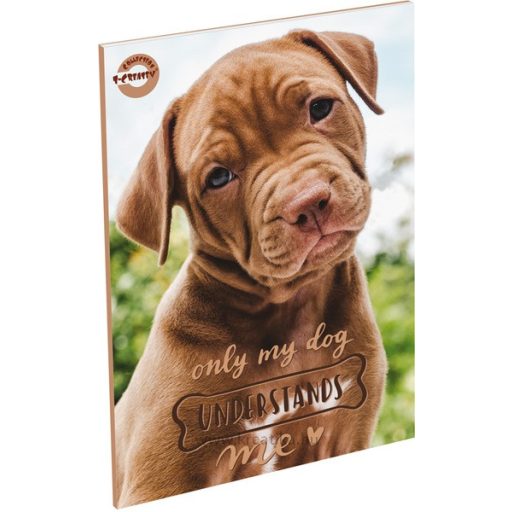 Füzet A/5 60 lapos, vonalas 21-60 T-Creativ