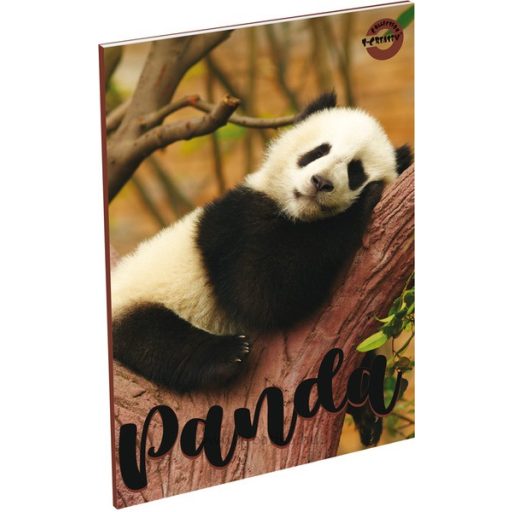 Füzet A/5 60 lapos, négyzetrácsos 27-60 T-Creativ