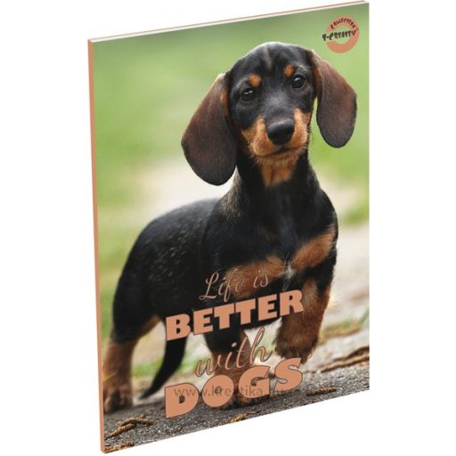 Füzet A/5 60 lapos, négyzetrácsos 27-60 T-Creativ