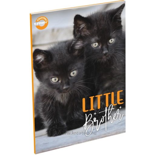 Füzet A/5 60 lapos, négyzetrácsos 27-60 T-Creativ