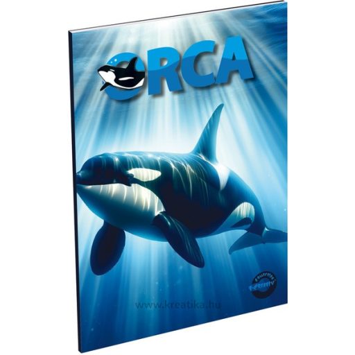 Füzet A/5 60 lapos, négyzetrácsos 27-60 T-Creativ