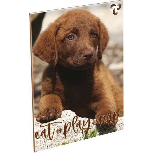 Füzet A/4 60 lapos, sima 80-60 T-Creativ