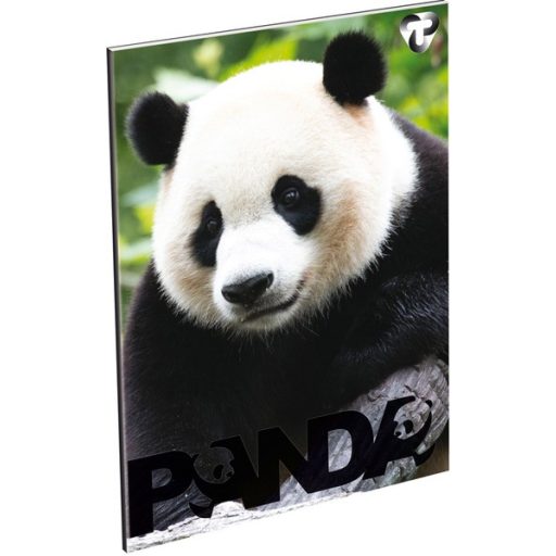 Füzet A/4 60 lapos, sima 80-60 T-Creativ