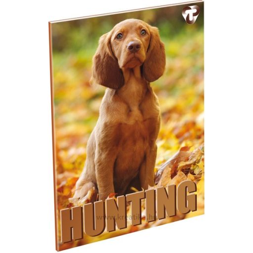 Füzet A/4 60 lapos, vonalas 81-60 T-Creativ