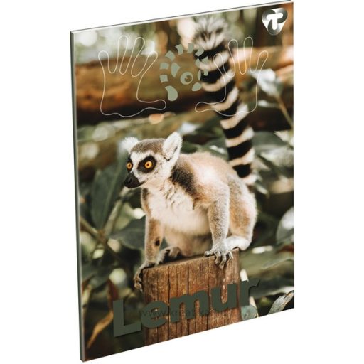 Füzet A/4 60 lapos, vonalas 81-60 T-Creativ