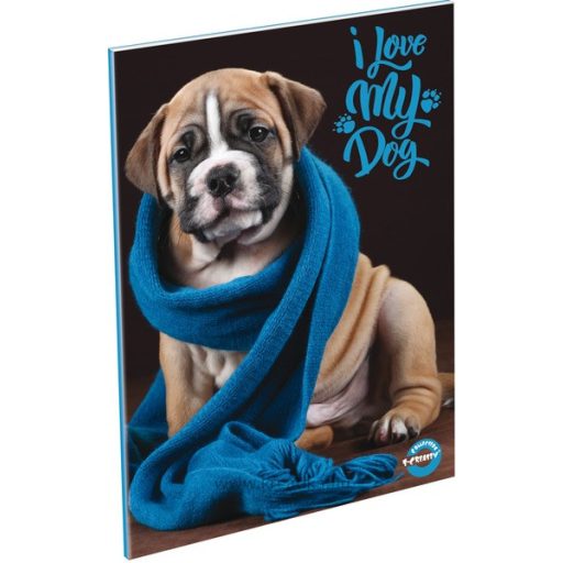 Füzet A/4 32 lapos, négyzetrácsos 87-60 T-Creativ