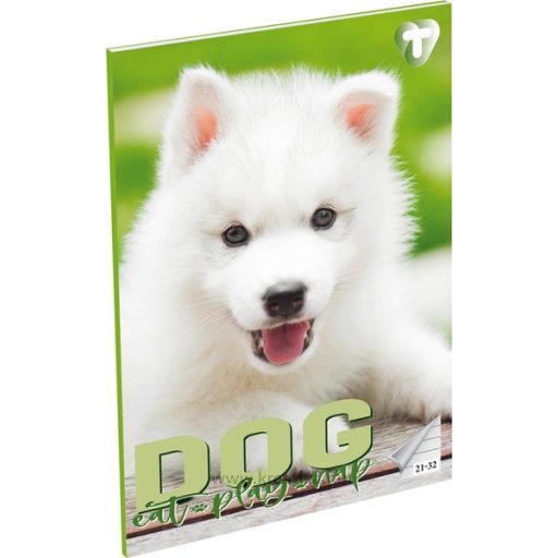 Füzet A/5 32 lapos, vonalas 21-32,  T-Creativ "Girls